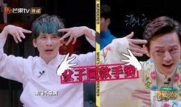 明星大侦探第9季免费完整版高清